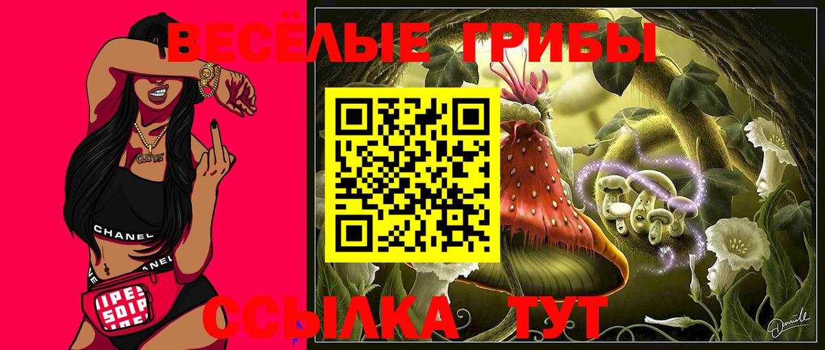Ессентуки  цены наркотик  Вход с VPN  Псилоцибиновые грибы прущие грибы 