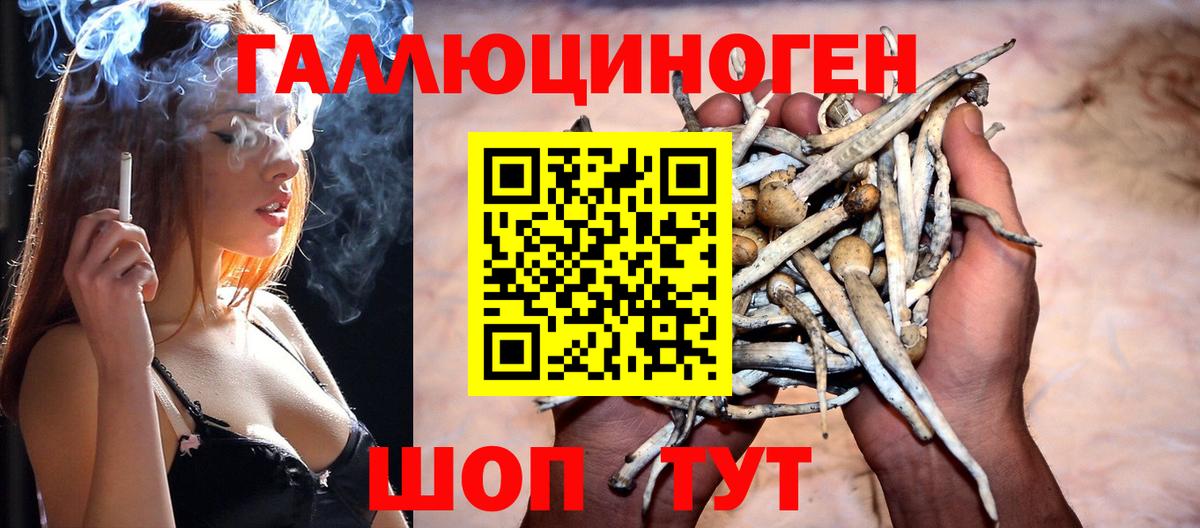 Галлюциногенные грибы мухоморы Ессентуки